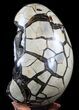 Huge, Septarian Dragon Egg Geode - Crystal Filled #40933-3
